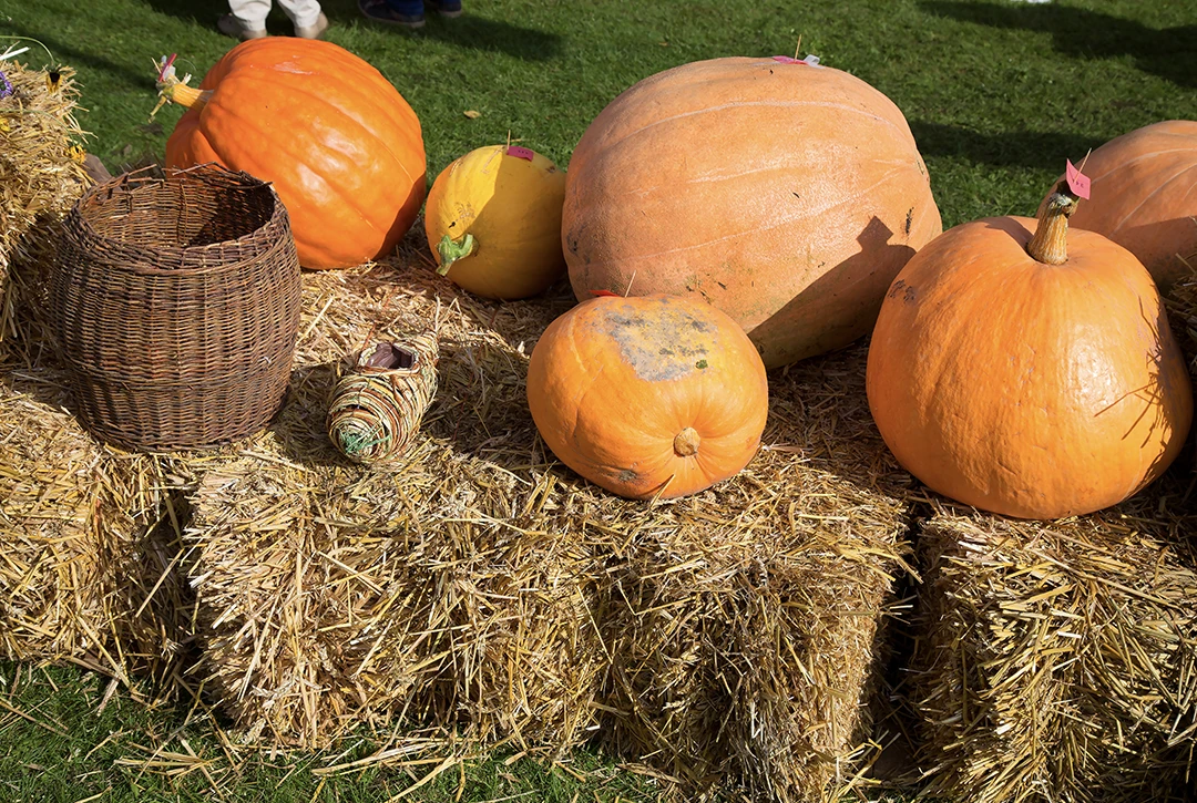 Harvest Festival at Holy Cross Abbey